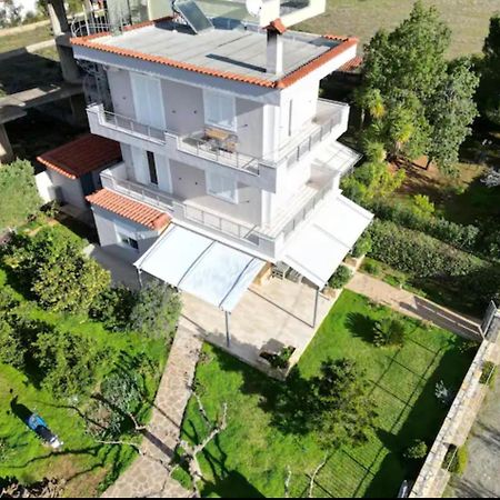 Eretria Homestay المظهر الخارجي الصورة